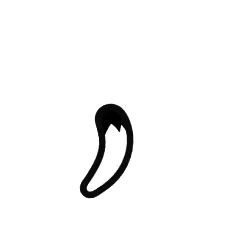 Tail 13
